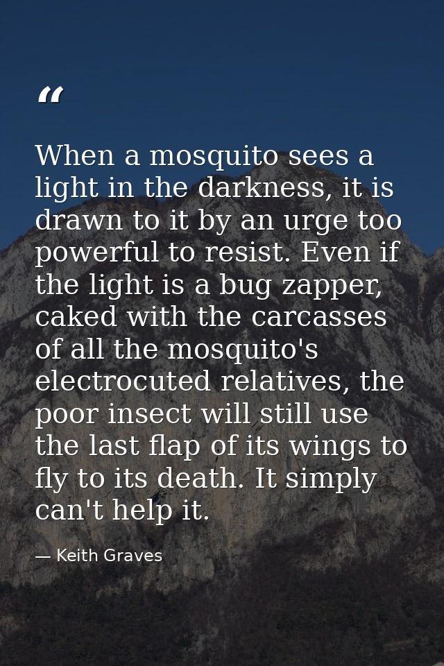 When a mosquito sees a light in the darkness, it is drawn to it by an urge too powerful to resist. Even if the light is  — Keith Graves