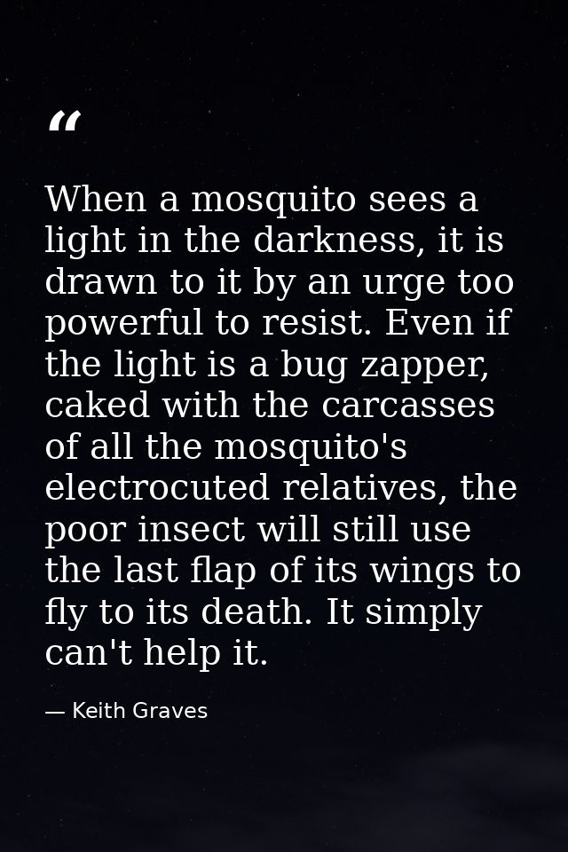 When a mosquito sees a light in the darkness, it is drawn to it by an urge too powerful to resist. Even if the light is  — Keith Graves