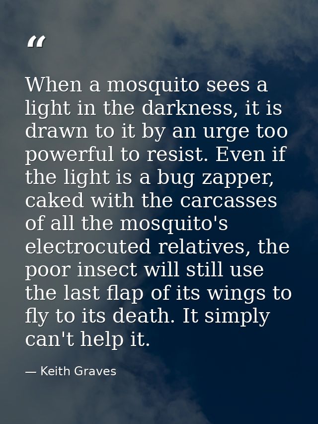 When a mosquito sees a light in the darkness, it is drawn to it by an urge too powerful to resist. Even if the light is  — Keith Graves