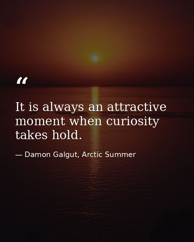 It is always an attractive moment when curiosity takes hold. — Damon Galgut, Arctic Summer