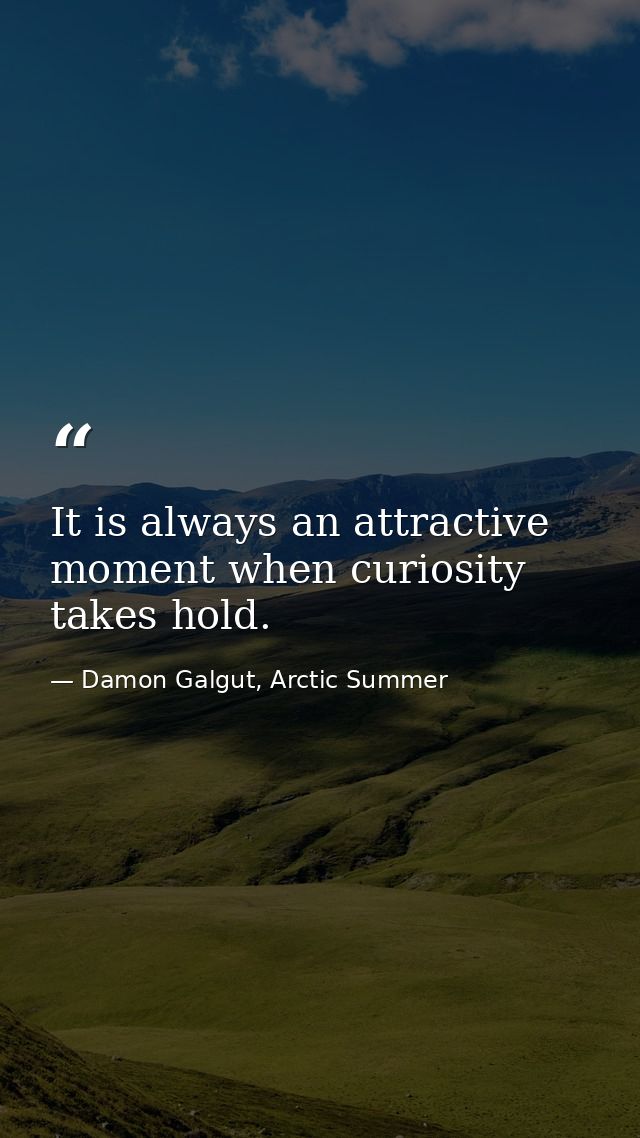 It is always an attractive moment when curiosity takes hold. — Damon Galgut, Arctic Summer