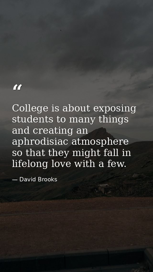 College is about exposing students to many things and creating an aphrodisiac atmosphere so that they might fall in life — David Brooks