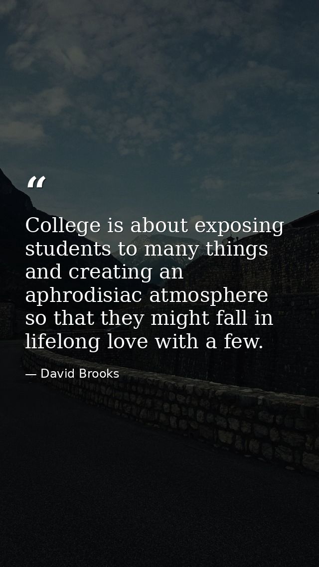 College is about exposing students to many things and creating an aphrodisiac atmosphere so that they might fall in life — David Brooks