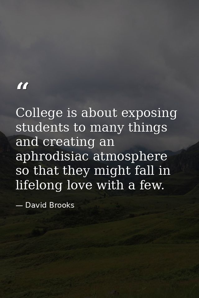 College is about exposing students to many things and creating an aphrodisiac atmosphere so that they might fall in life — David Brooks