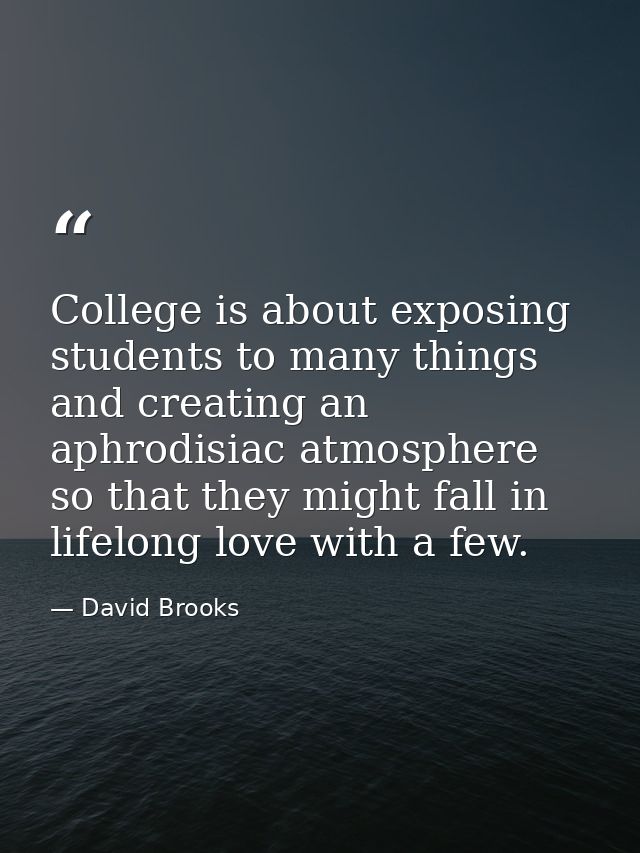 College is about exposing students to many things and creating an aphrodisiac atmosphere so that they might fall in life — David Brooks