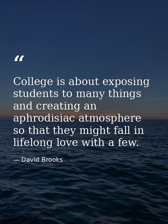 College is about exposing students to many things and creating an aphrodisiac atmosphere so that they might fall in life — David Brooks