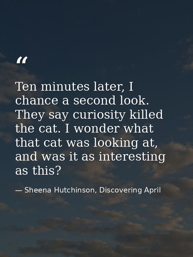 Ten minutes later, I chance a second look. They say curiosity killed the cat. I wonder what that cat was looking at, and — Sheena Hutchinson, Discovering April