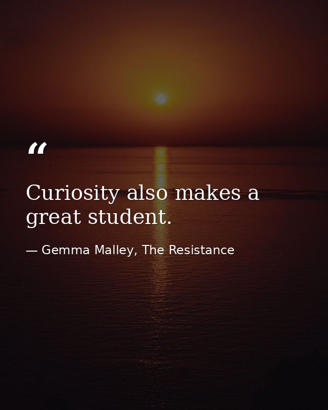 Curiosity also makes a great student. — Gemma Malley, The Resistance