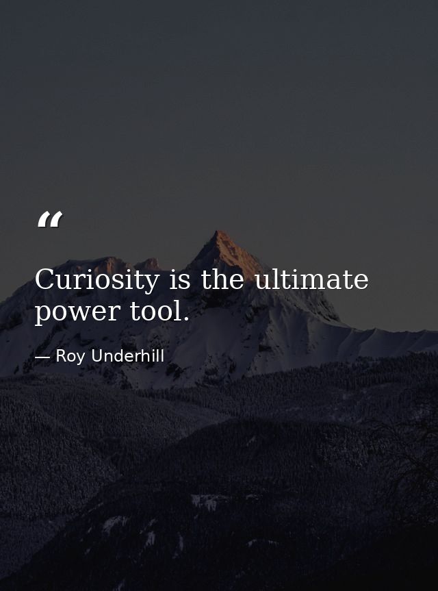 Curiosity is the ultimate power tool. — Roy Underhill