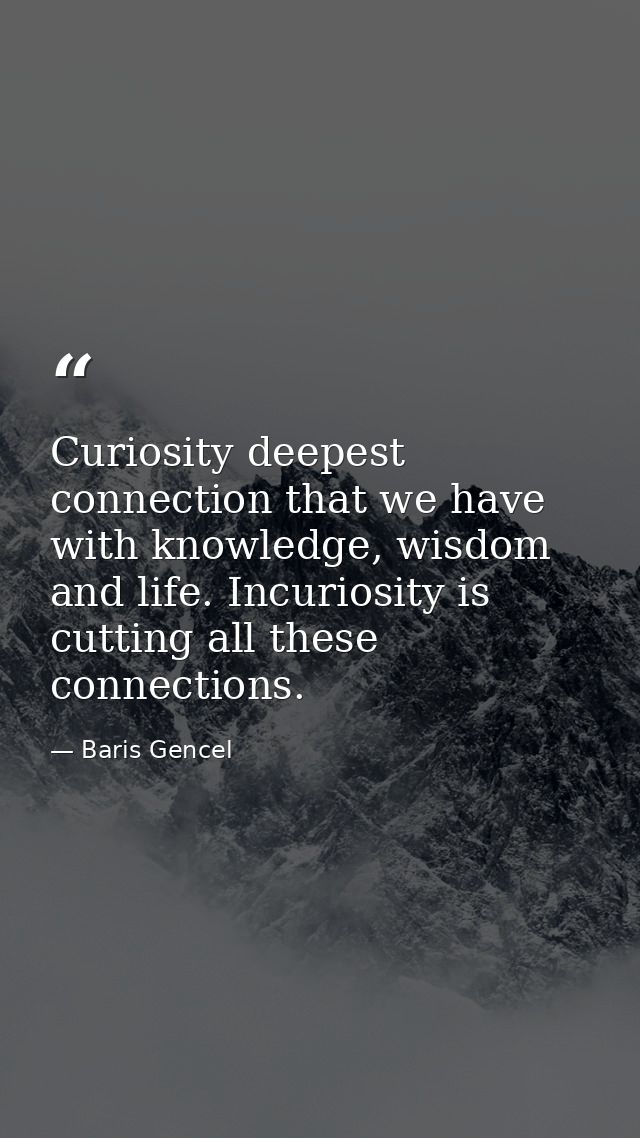 Curiosity deepest connection that we have with knowledge, wisdom and life. Incuriosity is cutting all these connections. — Baris Gencel
