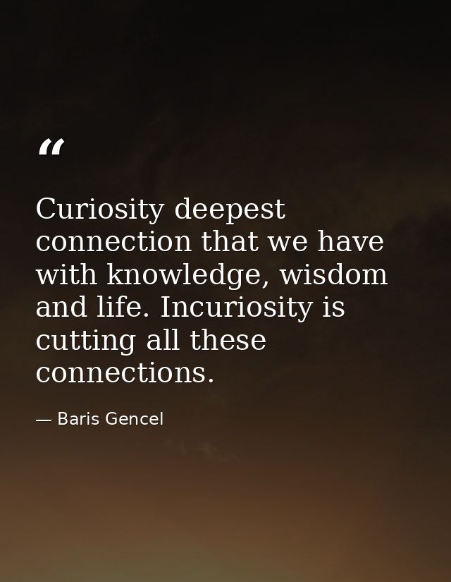 Curiosity deepest connection that we have with knowledge, wisdom and life. Incuriosity is cutting all these connections. — Baris Gencel