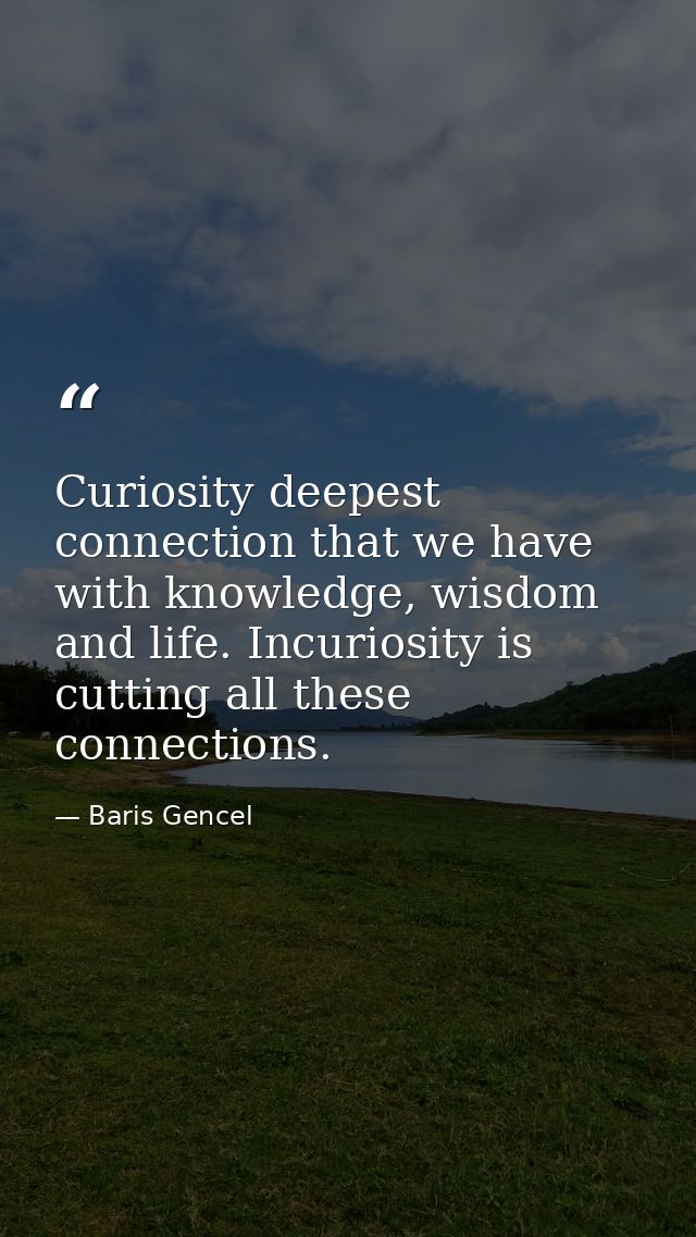 Curiosity deepest connection that we have with knowledge, wisdom and life. Incuriosity is cutting all these connections. — Baris Gencel