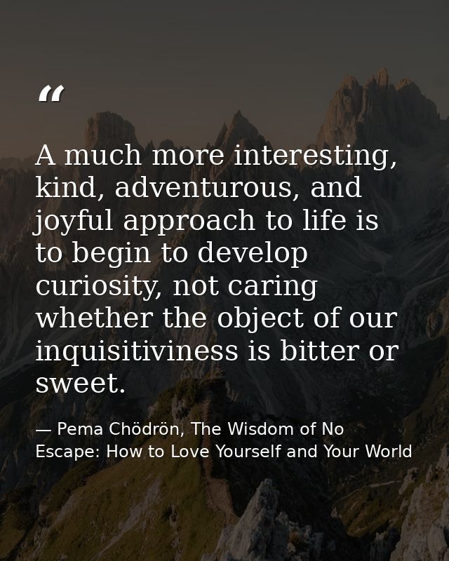 A much more interesting, kind, adventurous, and joyful approach to life is to begin to develop curiosity, not caring whe — Pema Chödrön, The Wisdom of No Escape: How to Love Yourself and Your World