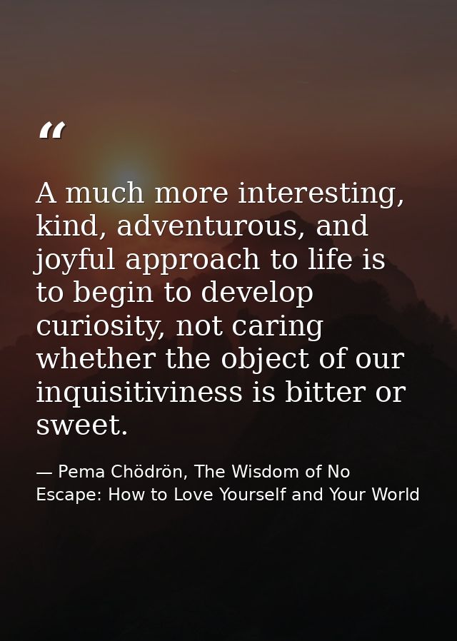 A much more interesting, kind, adventurous, and joyful approach to life is to begin to develop curiosity, not caring whe — Pema Chödrön, The Wisdom of No Escape: How to Love Yourself and Your World