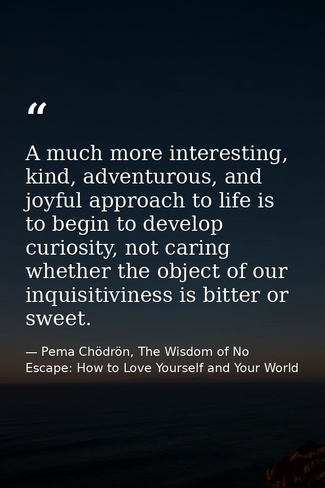 A much more interesting, kind, adventurous, and joyful approach to life is to begin to develop curiosity, not caring whe — Pema Chödrön, The Wisdom of No Escape: How to Love Yourself and Your World