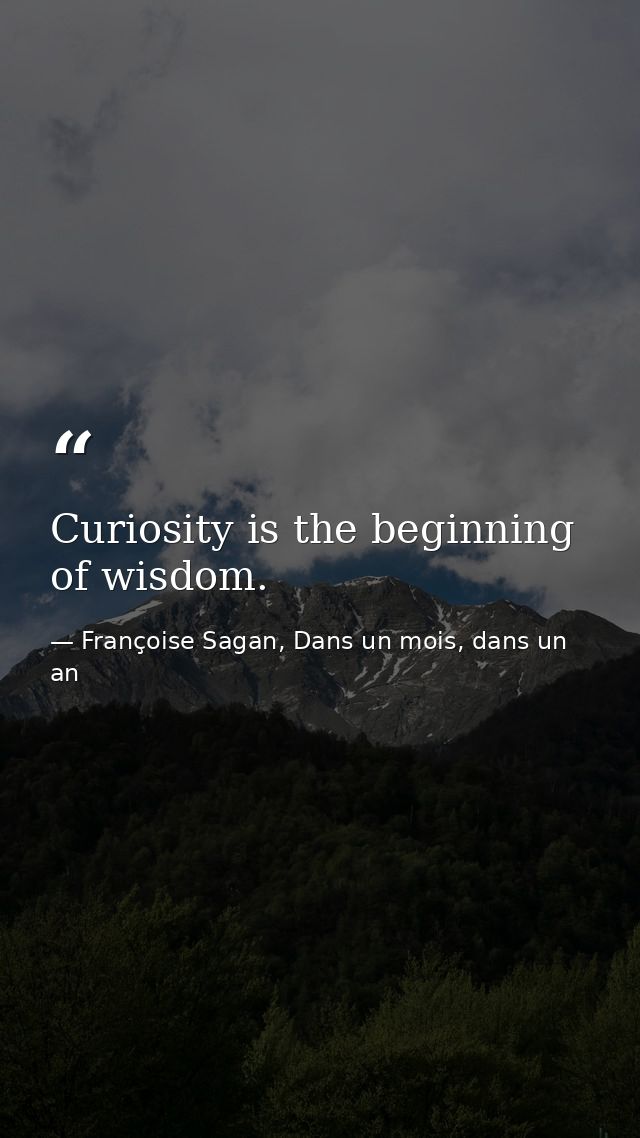 Curiosity is the beginning of wisdom. — Françoise Sagan, Dans un mois, dans un an