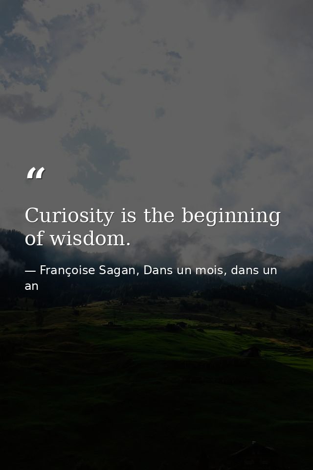 Curiosity is the beginning of wisdom. — Françoise Sagan, Dans un mois, dans un an