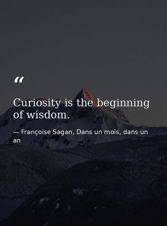 Curiosity is the beginning of wisdom. — Françoise Sagan, Dans un mois, dans un an