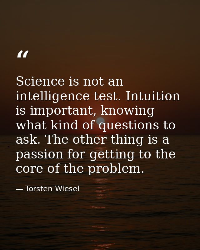 Science is not an intelligence test. Intuition is important, knowing what kind of questions to ask. The other thing is a — Torsten Wiesel