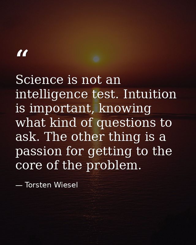 Science is not an intelligence test. Intuition is important, knowing what kind of questions to ask. The other thing is a — Torsten Wiesel