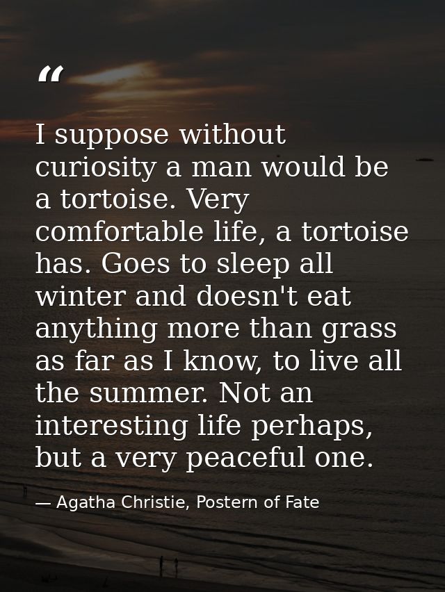I suppose without curiosity a man would be a tortoise. Very comfortable life, a tortoise has. Goes to sleep all winter a — Agatha Christie, Postern of Fate