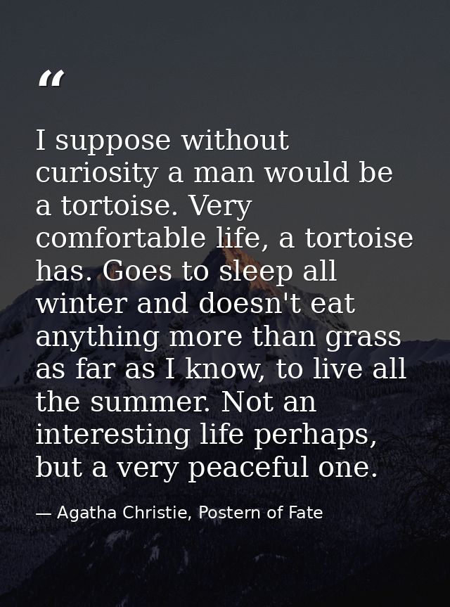I suppose without curiosity a man would be a tortoise. Very comfortable life, a tortoise has. Goes to sleep all winter a — Agatha Christie, Postern of Fate