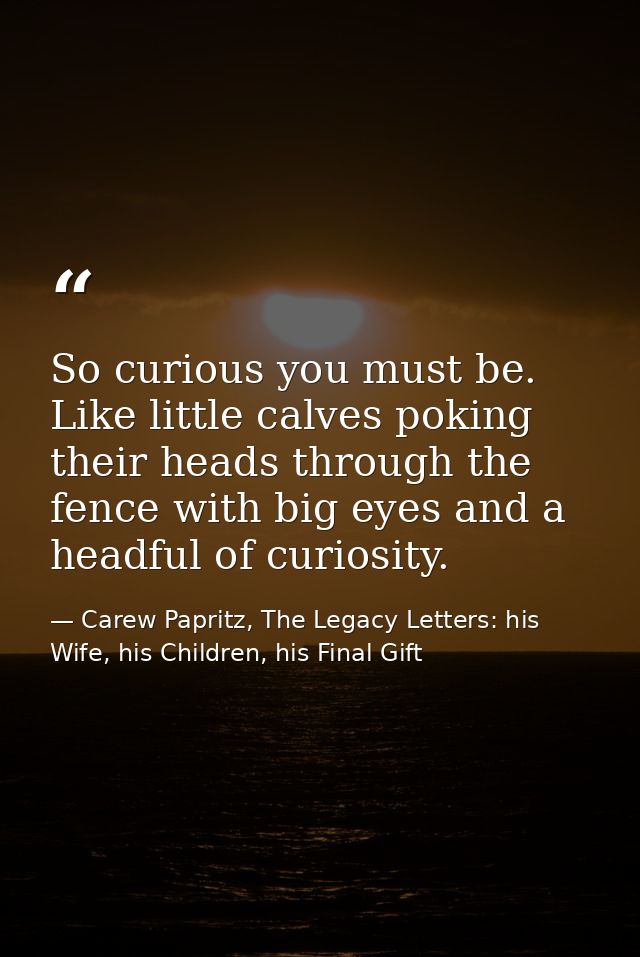 So curious you must be. Like little calves poking their heads through the fence with big eyes and a headful of curiosity — Carew Papritz, The Legacy Letters: his Wife, his Children, his Final Gift