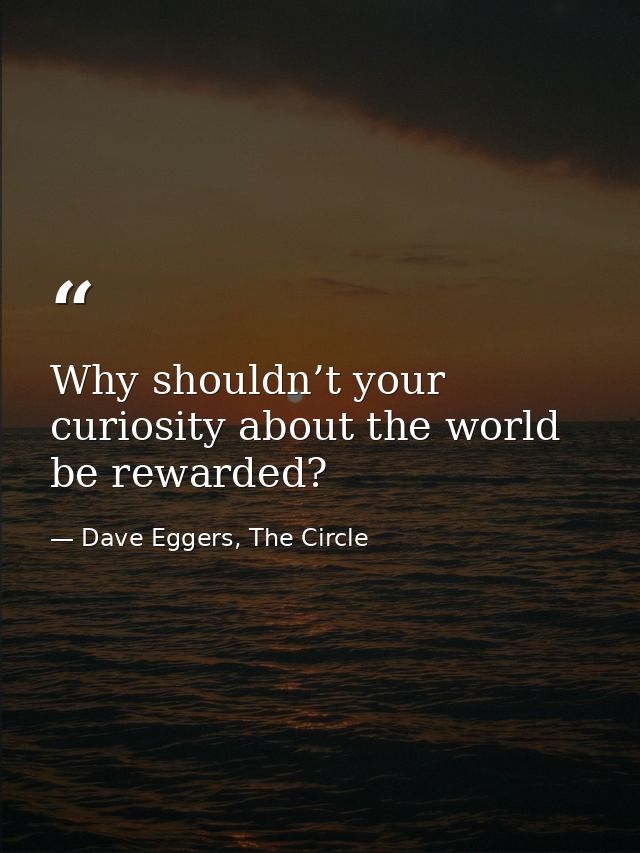 Why shouldn’t your curiosity about the world be rewarded? — Dave Eggers, The Circle