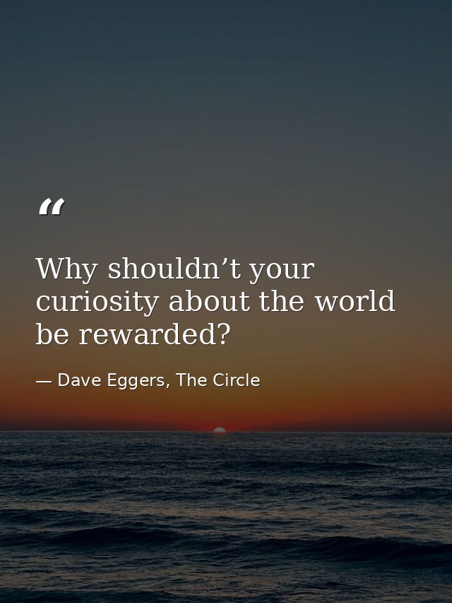 Why shouldn’t your curiosity about the world be rewarded? — Dave Eggers, The Circle
