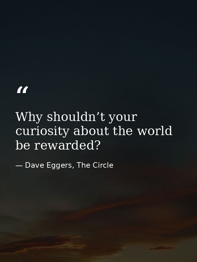Why shouldn’t your curiosity about the world be rewarded? — Dave Eggers, The Circle