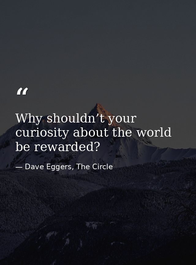 Why shouldn’t your curiosity about the world be rewarded? — Dave Eggers, The Circle