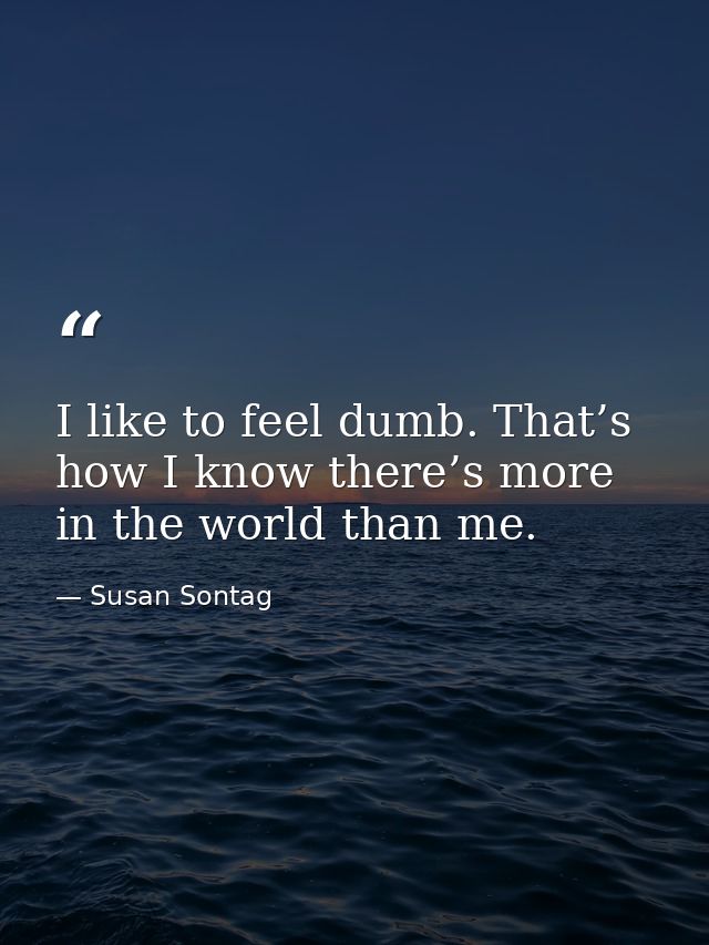 I like to feel dumb. That’s how I know there’s more in the world than me. — Susan Sontag