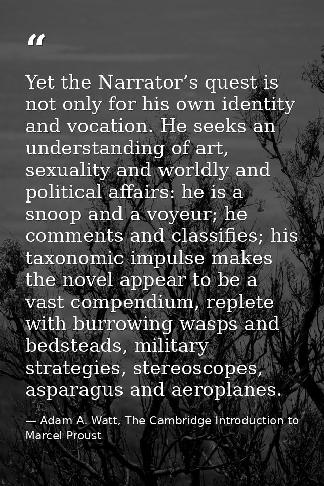Yet the Narrator’s quest is not only for his own identity and vocation. He seeks an understanding of art, sexuality and  — Adam A. Watt, The Cambridge Introduction to Marcel Proust