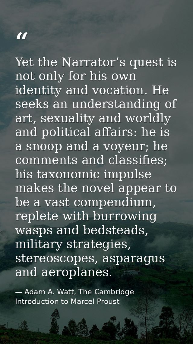 Yet the Narrator’s quest is not only for his own identity and vocation. He seeks an understanding of art, sexuality and  — Adam A. Watt, The Cambridge Introduction to Marcel Proust