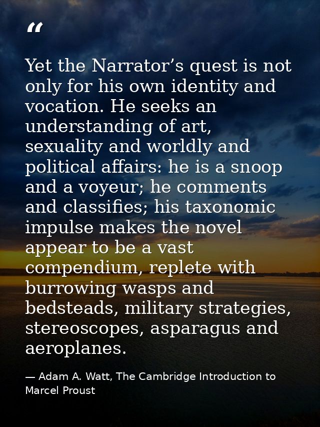 Yet the Narrator’s quest is not only for his own identity and vocation. He seeks an understanding of art, sexuality and  — Adam A. Watt, The Cambridge Introduction to Marcel Proust