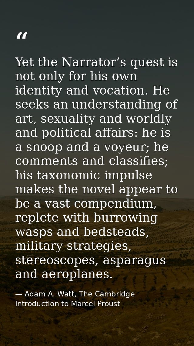 Yet the Narrator’s quest is not only for his own identity and vocation. He seeks an understanding of art, sexuality and  — Adam A. Watt, The Cambridge Introduction to Marcel Proust