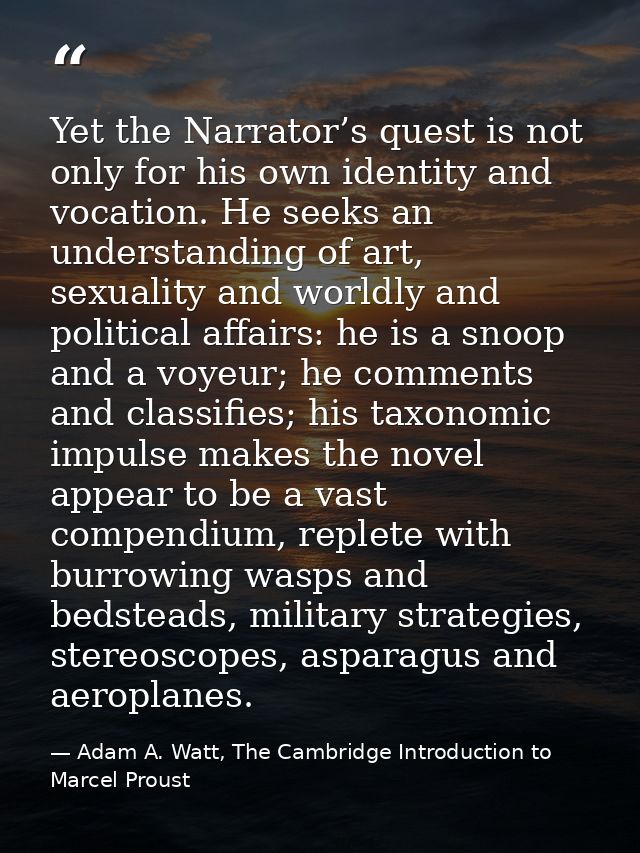 Yet the Narrator’s quest is not only for his own identity and vocation. He seeks an understanding of art, sexuality and  — Adam A. Watt, The Cambridge Introduction to Marcel Proust