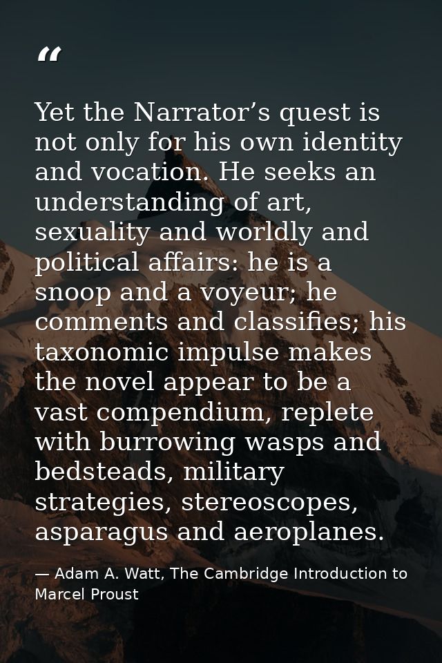 Yet the Narrator’s quest is not only for his own identity and vocation. He seeks an understanding of art, sexuality and  — Adam A. Watt, The Cambridge Introduction to Marcel Proust