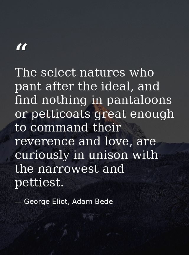 The select natures who pant after the ideal, and find nothing in pantaloons or petticoats great enough to command their  — George Eliot, Adam Bede