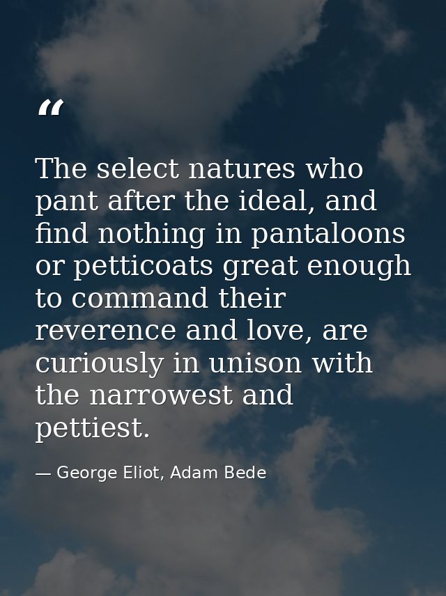 The select natures who pant after the ideal, and find nothing in pantaloons or petticoats great enough to command their  — George Eliot, Adam Bede
