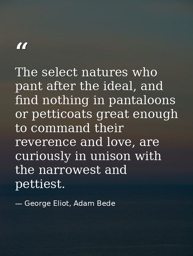 The select natures who pant after the ideal, and find nothing in pantaloons or petticoats great enough to command their  — George Eliot, Adam Bede