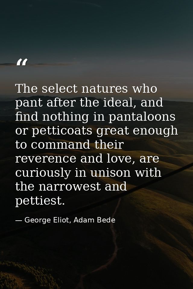 The select natures who pant after the ideal, and find nothing in pantaloons or petticoats great enough to command their  — George Eliot, Adam Bede