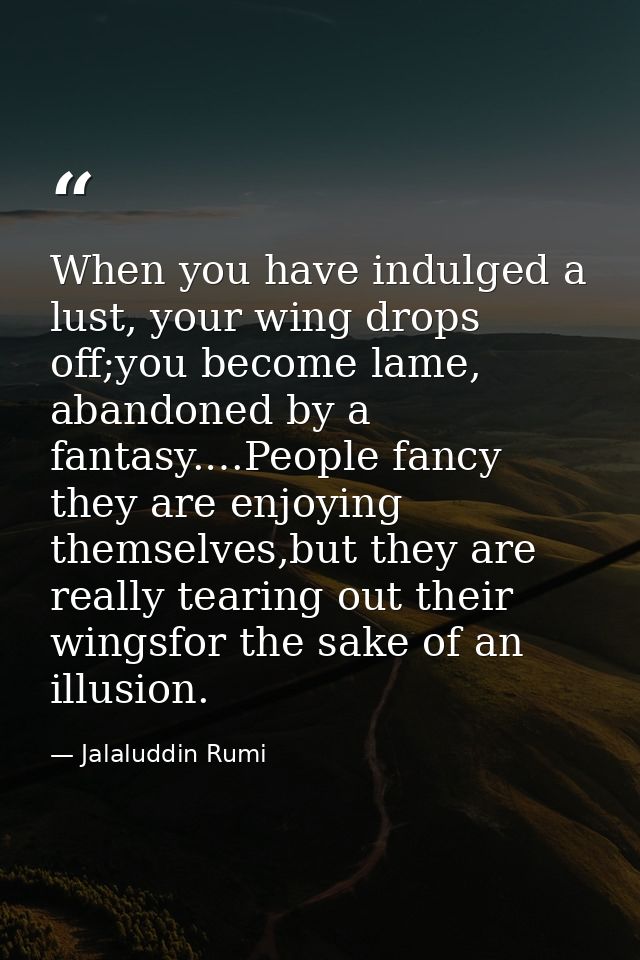 When you have indulged a lust, your wing drops off;you become lame, abandoned by a fantasy.…People fancy they are enjoyi — Jalaluddin Rumi