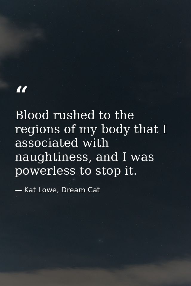 Blood rushed to the regions of my body that I associated with naughtiness, and I was powerless to stop it. — Kat Lowe, Dream Cat
