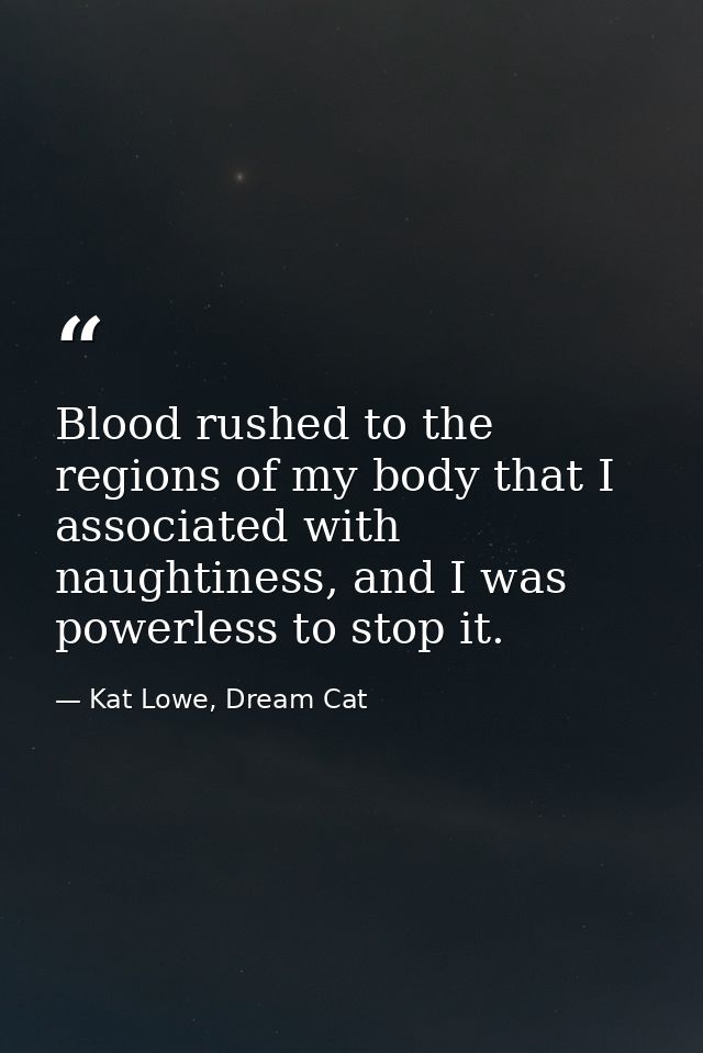 Blood rushed to the regions of my body that I associated with naughtiness, and I was powerless to stop it. — Kat Lowe, Dream Cat
