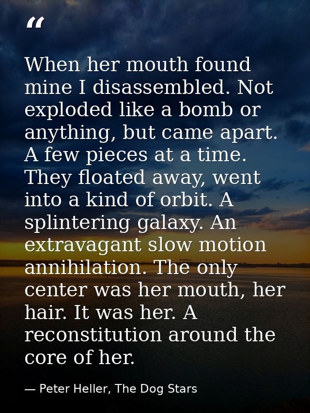When her mouth found mine I disassembled. Not exploded like a bomb or anything, but came apart. A few pieces at a time.  — Peter Heller, The Dog Stars