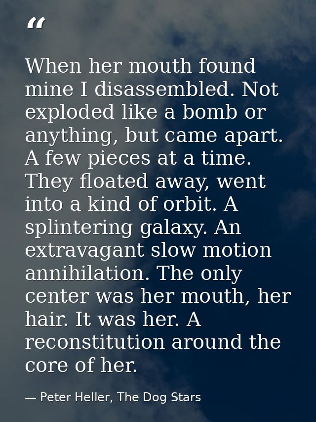 When her mouth found mine I disassembled. Not exploded like a bomb or anything, but came apart. A few pieces at a time.  — Peter Heller, The Dog Stars