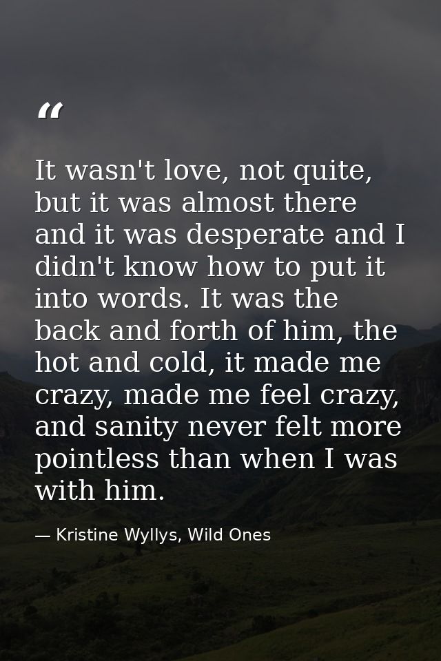 It wasn't love, not quite, but it was almost there and it was desperate and I didn't know how to put it into words. It w — Kristine Wyllys, Wild Ones