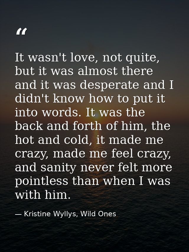 It wasn't love, not quite, but it was almost there and it was desperate and I didn't know how to put it into words. It w — Kristine Wyllys, Wild Ones