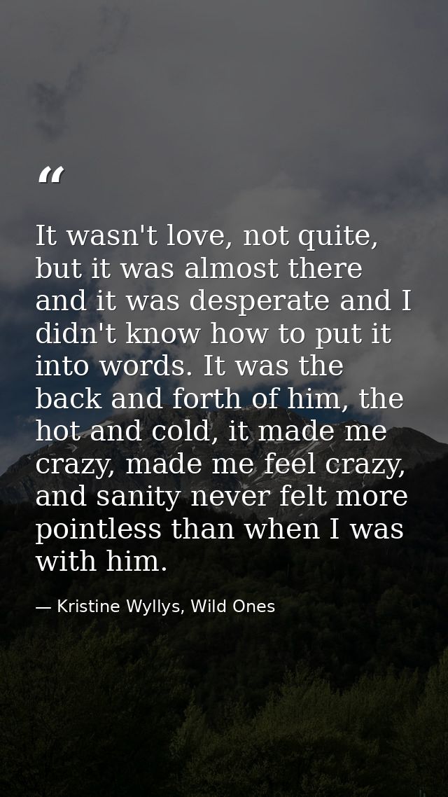 It wasn't love, not quite, but it was almost there and it was desperate and I didn't know how to put it into words. It w — Kristine Wyllys, Wild Ones